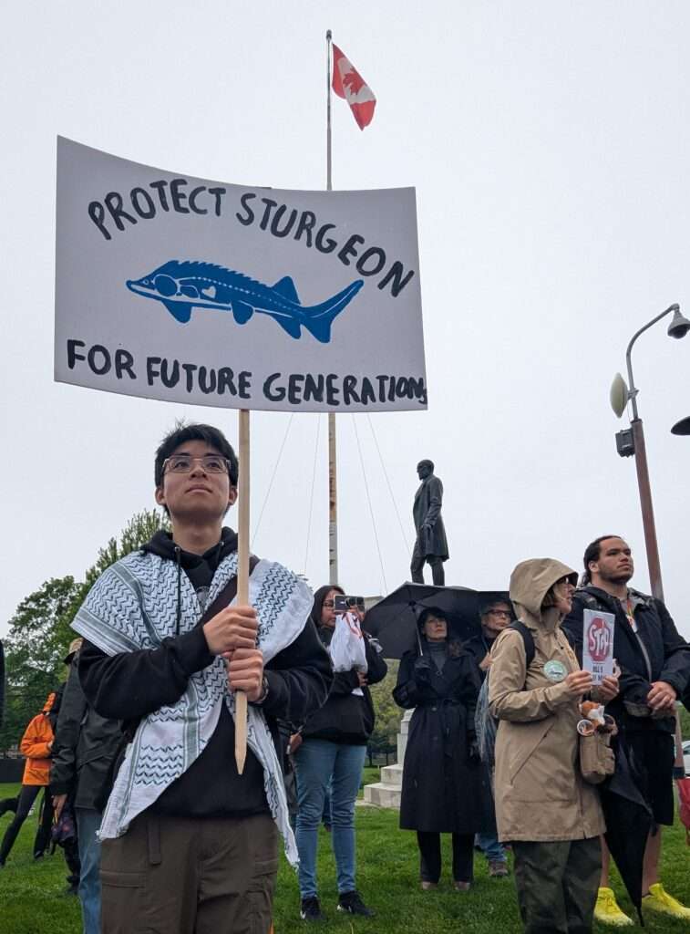 Crowd gathers at Queen's Park for rally against Bill 5. Youth holds sign saying "Protect Sturgeon for Future Generations."