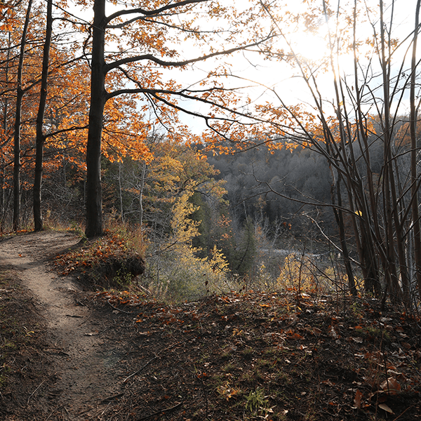 Justin Ziadeh's photo of Morningside Park